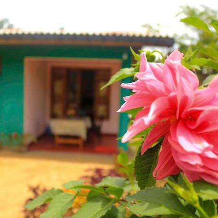 Yoho Nilmini Homestay Ella Εξωτερικό φωτογραφία