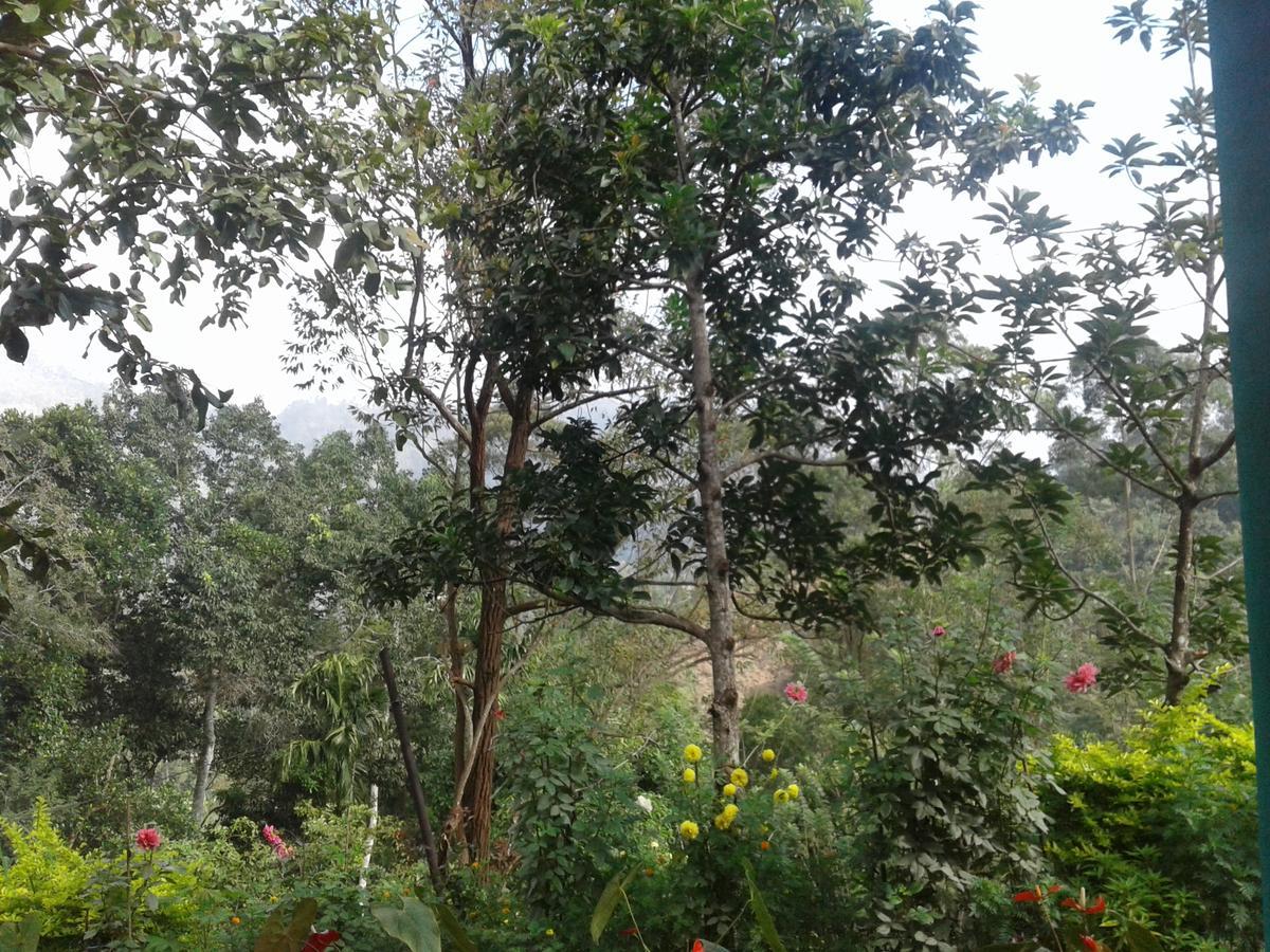 Yoho Nilmini Homestay Ella Εξωτερικό φωτογραφία
